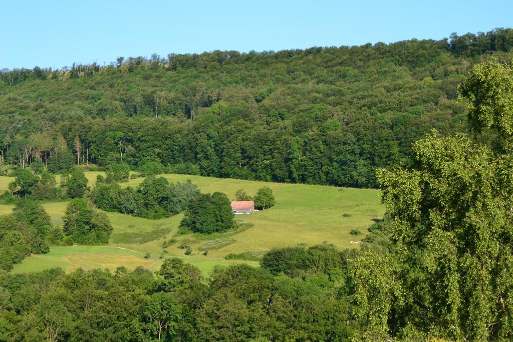 B&B Am Sonnenhuegel Баден Экстерьер фото